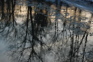 Battenkill in winter
